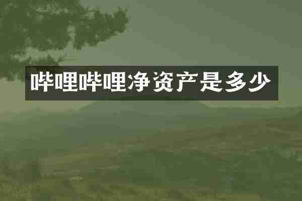 哔哩哔哩净资产是多少