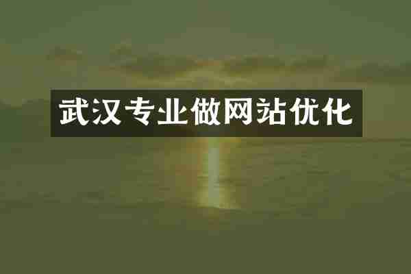 武汉专业做网站优化
