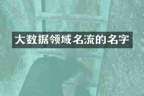 大数据领域名流的名字