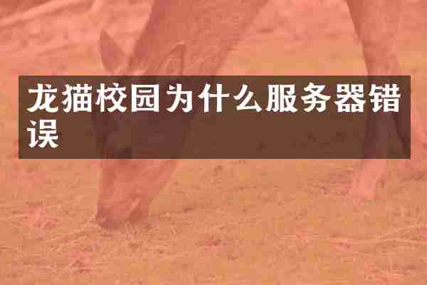 龙猫校园为什么服务器错误