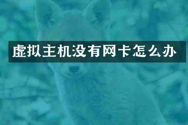 虚拟主机没有网卡怎么办