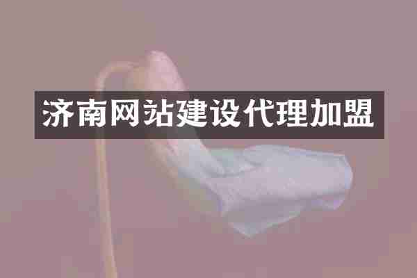 济南网站建设代理加盟