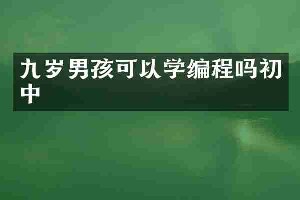 九岁男孩可以学编程吗初中