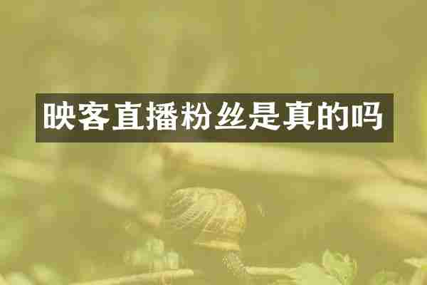 映客直播粉丝是真的吗