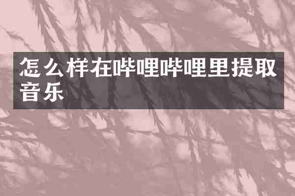 怎么样在哔哩哔哩里提取音乐