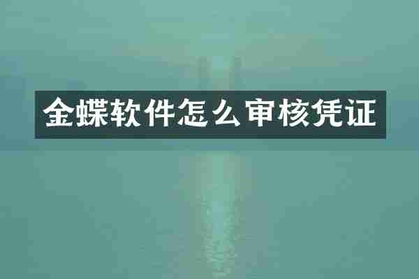 金蝶软件怎么审核凭证