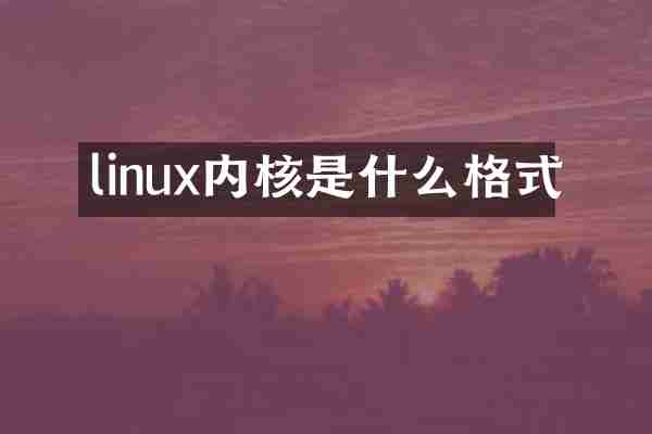 linux内核是什么格式