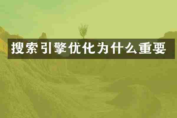 搜索引擎优化为什么重要