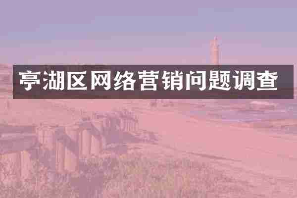 亭湖区网络营销问题调查