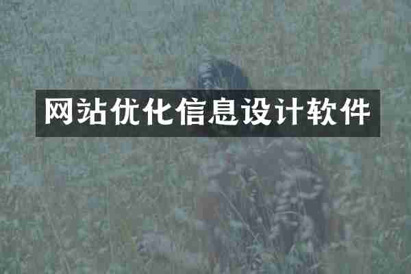 网站优化信息设计软件