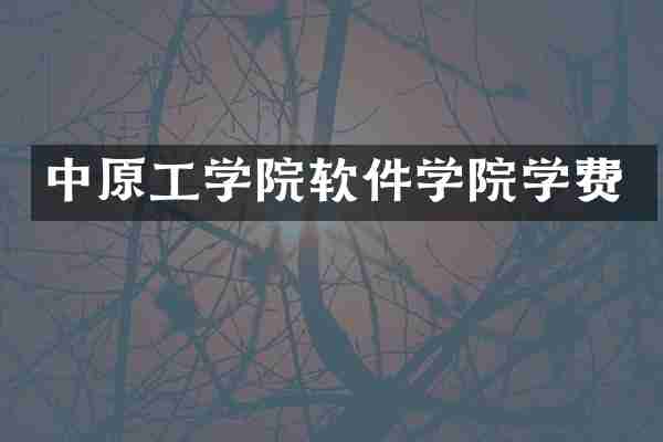 中原工学院软件学院学费