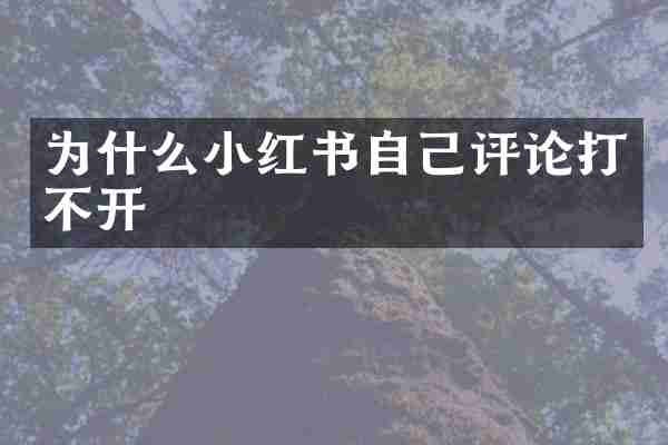 为什么小红书自己评论打不开