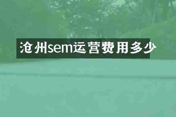 沧州sem运营费用多少