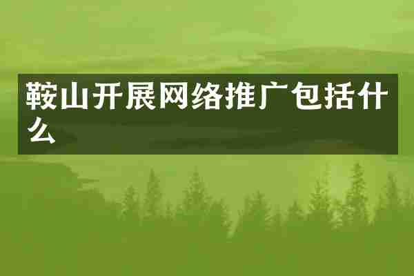 鞍山开展网络推广包括什么