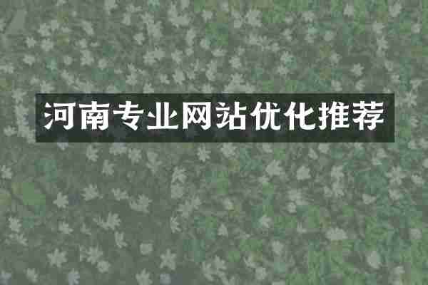 河南专业网站优化推荐