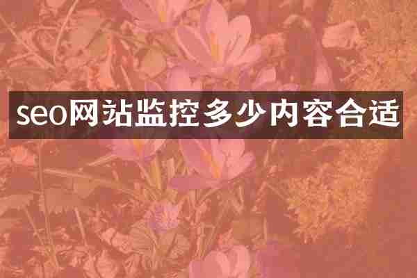 seo网站监控多少内容合适