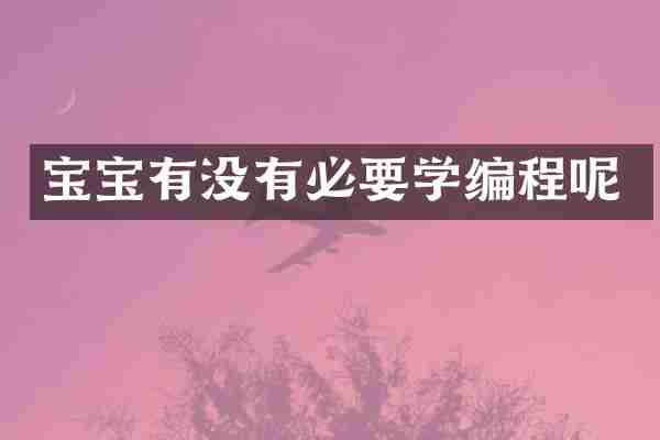 宝宝有没有必要学编程呢