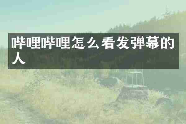哔哩哔哩怎么看发弹幕的人