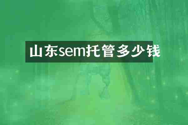 山东sem托管多少钱