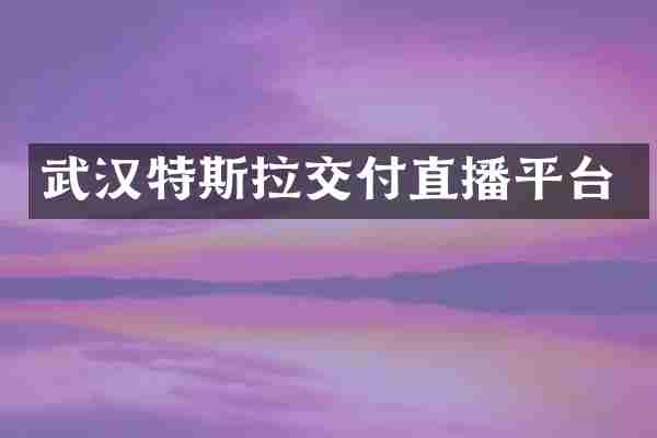 武汉特斯拉交付直播平台