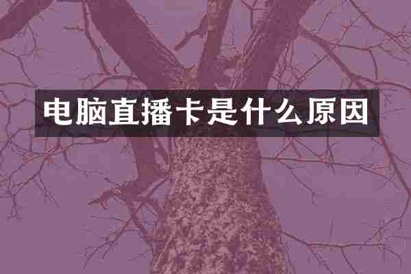电脑直播卡是什么原因