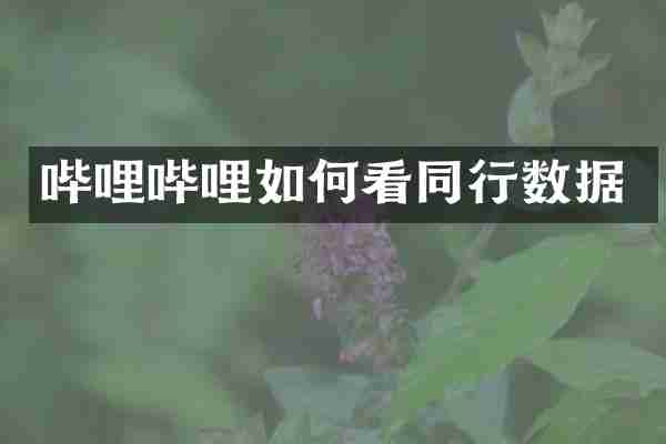 哔哩哔哩如何看同行数据