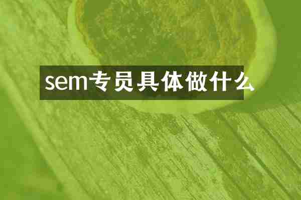sem专员具体做什么