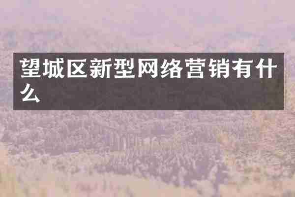 望城区新型网络营销有什么