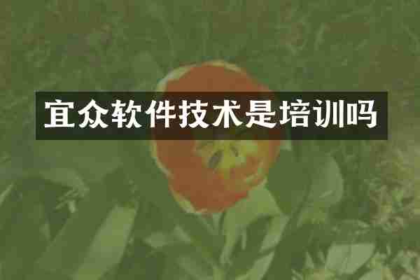 宜众软件技术是培训吗