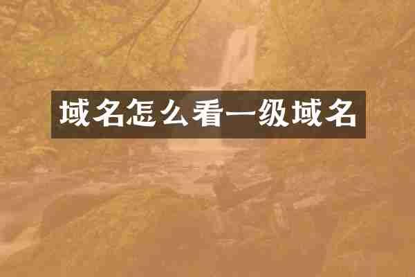 域名怎么看一级域名