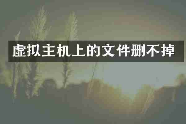 虚拟主机上的文件删不掉