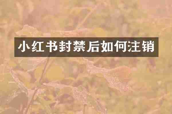 小红书封禁后如何注销