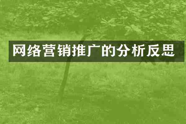 网络营销推广的分析反思