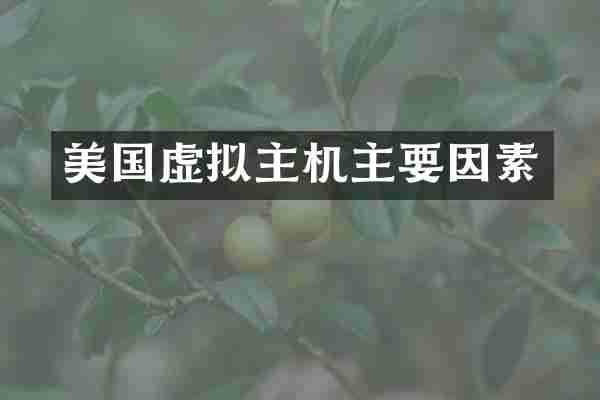 美国虚拟主机主要因素