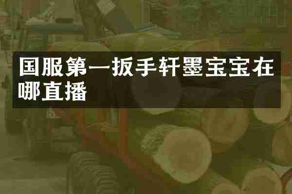 国服第一扳手轩墨宝宝在哪直播