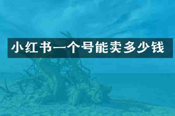 小红书一个号能卖多少钱