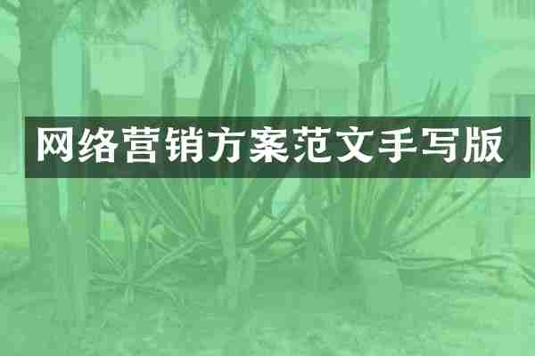 网络营销方案范文手写版
