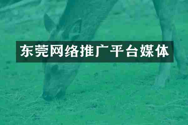 东莞网络推广平台媒体