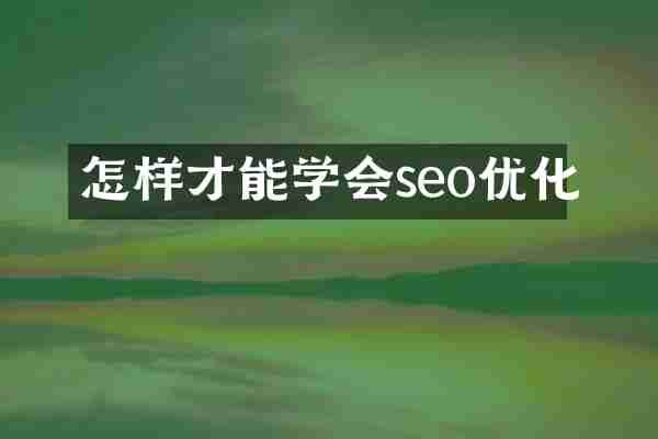 怎样才能学会seo优化