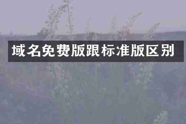 域名免费版跟标准版区别