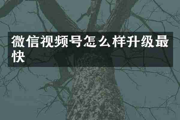 微信视频号怎么样升级最快
