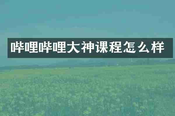 哔哩哔哩大神课程怎么样