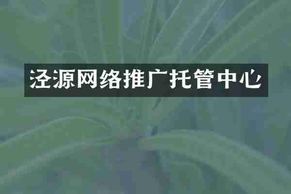 泾源网络推广托管中心