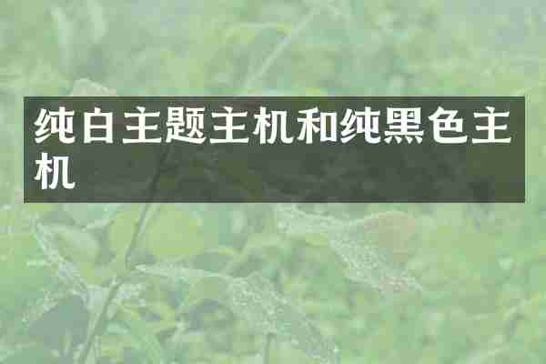 纯白主题主机和纯黑色主机