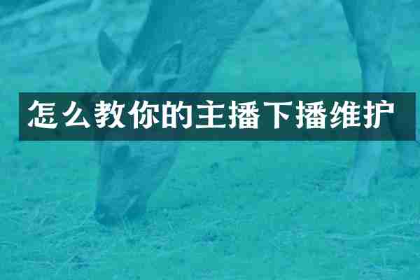怎么教你的主播下播维护