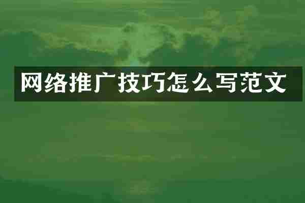 网络推广技巧怎么写范文
