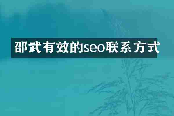 邵武有效的seo联系方式