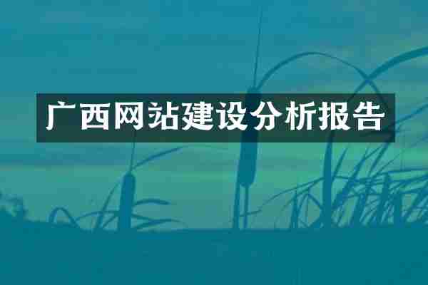 广西网站建设分析报告