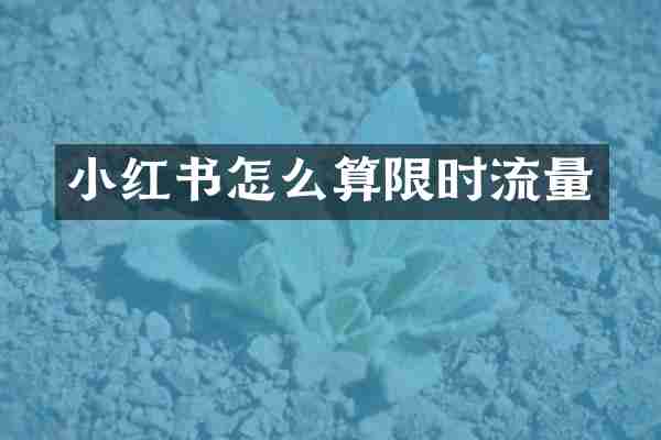 小红书怎么算限时流量