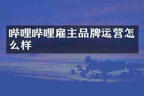 哔哩哔哩雇主品牌运营怎么样